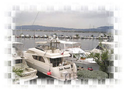 Royal Jamaica Yacht Club Boatyard